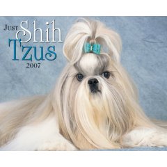 Just Shih Tzus 2007 Calendar