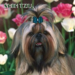 Shih Tzu 2007 Calendar