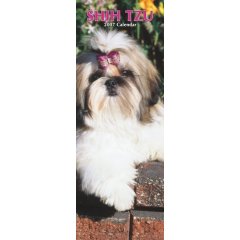 Shih Tzu 2007 Slimline Calendar