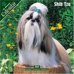 Shih Tzu 2007 Wall Calendar