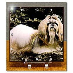 Shih Tzu - Desk Clock