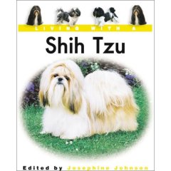 Living with a Shih Tzu